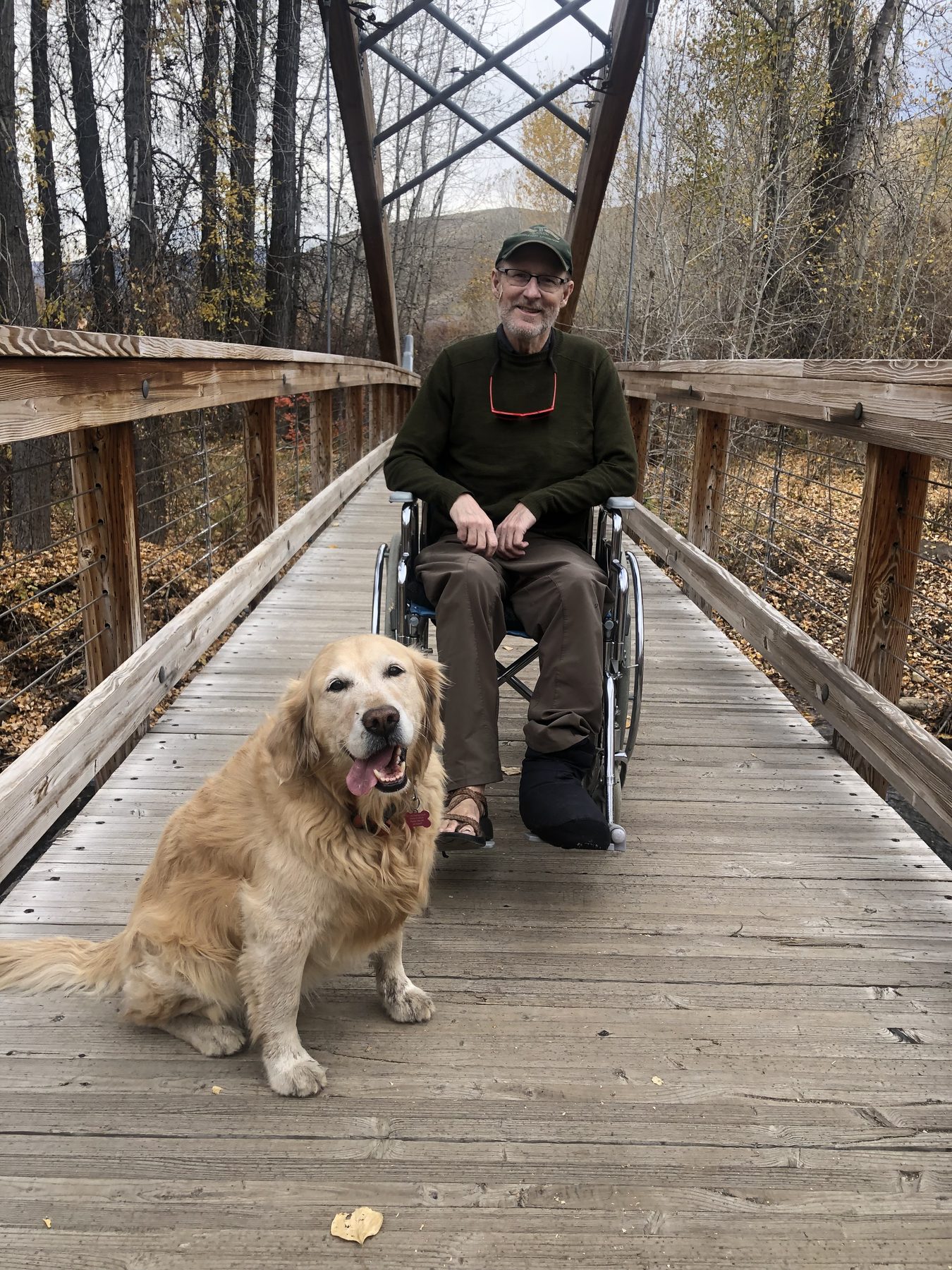 Golden Retriever with an adopter