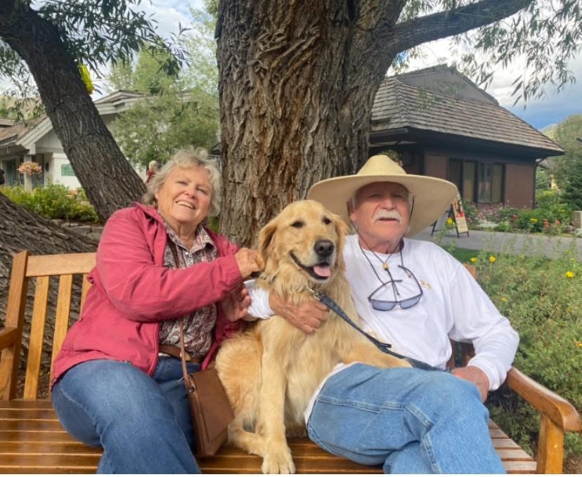 Golden Retriever with a foster family
