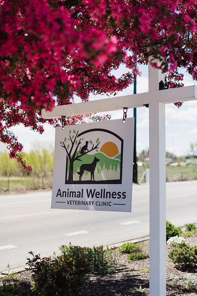 Idaho Golden Retriever Rescue partner event