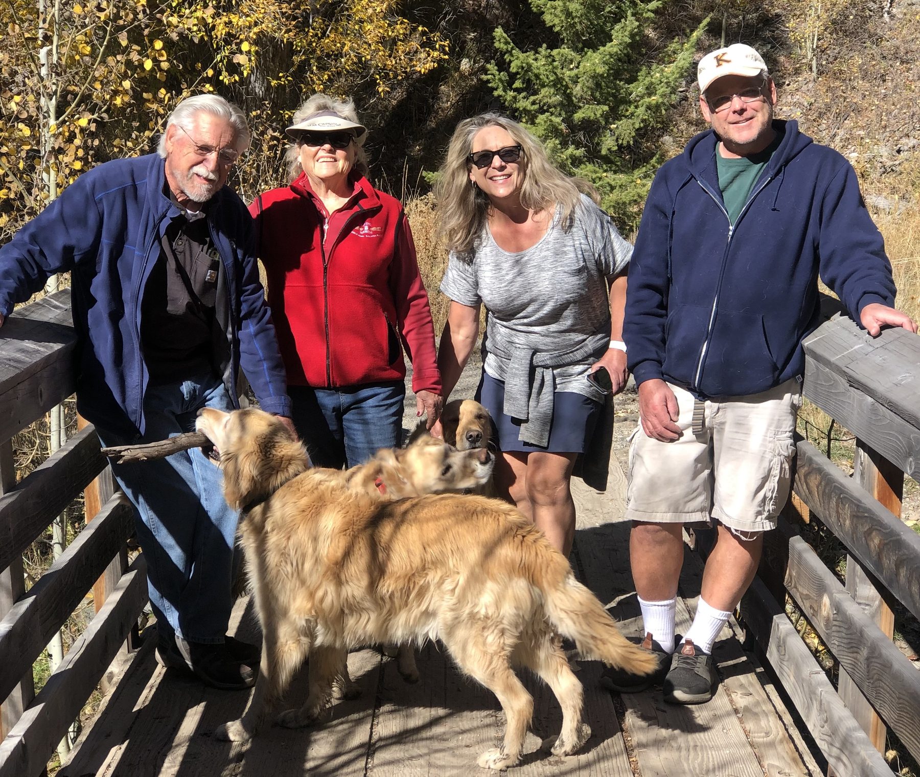 Volunteers with Golden Retrievers